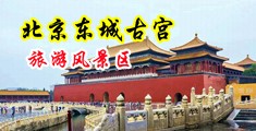 全亚洲操逼中国北京-东城古宫旅游风景区
